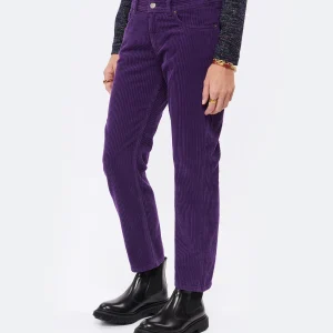 MODETROTTER Pantalon Elias Coton Violet 14